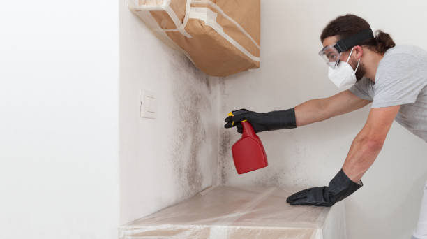Professional Bathroom Mold Removal technician working in Linden, MI