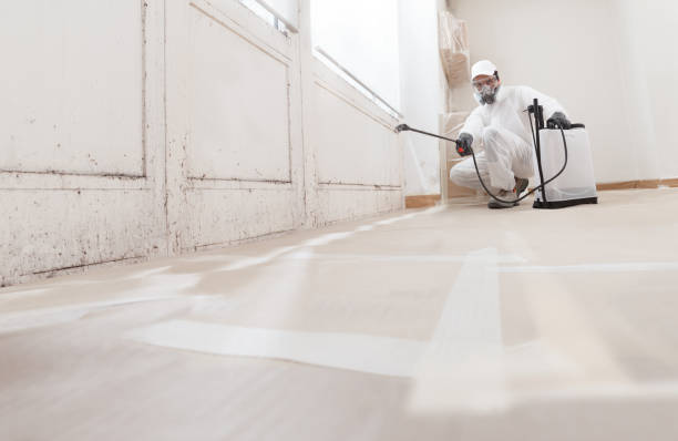 24/7 Emergency Bathroom Mold Removal experts in Linden, MI