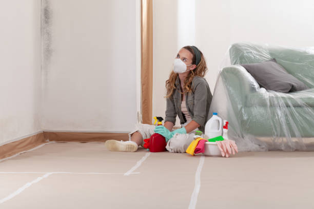 Reliable Bathroom Mold Removal contractor in Linden, MI by 24 Hour Mold Removal