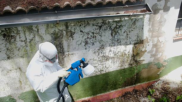 Top rated local Bathroom Mold Removal specialists in Linden, MI